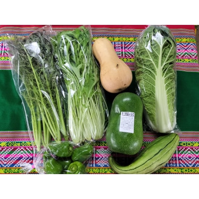 【毎月定期便】お楽しみ★農園自慢の情熱野菜セット7袋　フードロス対策　訳あり　規格外全6回