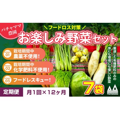 【毎月定期便】お楽しみ★農園自慢の情熱野菜セット7袋　フードロス対策　訳あり　規格外全12回