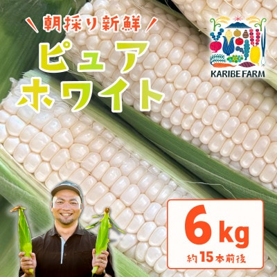 下妻産朝採りとうもろこし(ピュアホワイト)約6kg  約15本前後入り 26年6月下旬頃発送