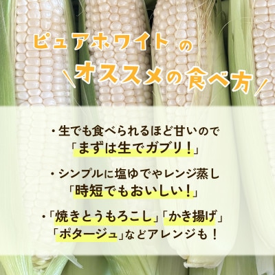 【訳あり】下妻産朝採りとうもろこし(ピュアホワイト)約6kg 約15-20本入り 6月下旬頃より発送