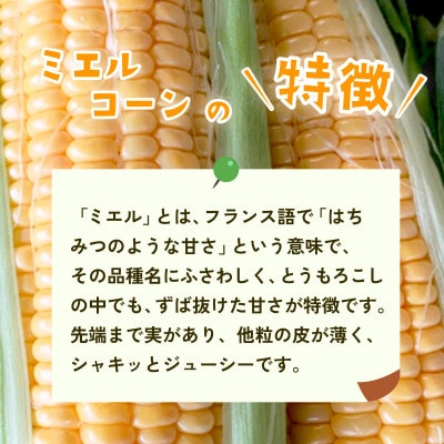 下妻産朝採りとうもろこし(ミエルコーン)約6kg 約15本前後入り 26年6月下旬頃より発送