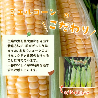 下妻産朝採りとうもろこし(ミエルコーン)約6kg 約15本前後入り 26年6月下旬頃より発送