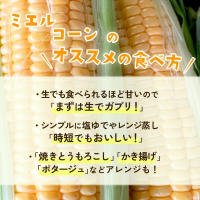 下妻産朝採りとうもろこし(ミエルコーン)約6kg 約15本前後入り 26年6月下旬頃より発送