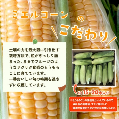 【訳あり】下妻産朝採りとうもろこし(ミエルコーン)約6kg 約15-20本入り 6月下旬頃より発送