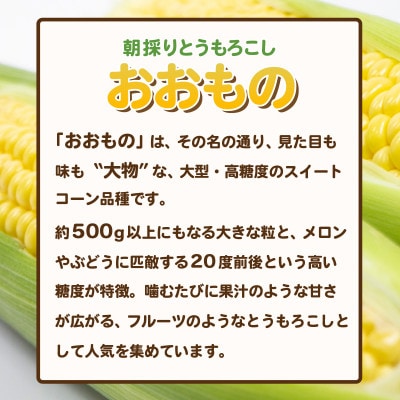下妻産朝採りとうもろこし(おおもの)約6kg  2026年7月上旬～8月中旬頃順次発送