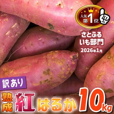 【2025・11月下旬から順次発送】下妻市産　熟成さつまいも　紅はるか　【訳アリ】10kg　