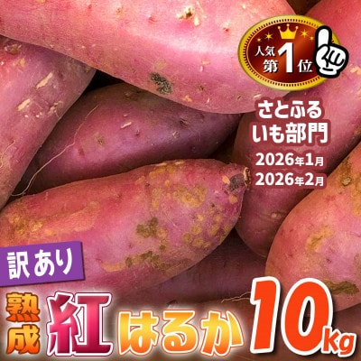 【2025・11月下旬から順次発送】下妻市産　熟成さつまいも　紅はるか　【訳アリ】10kg　