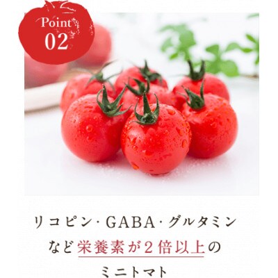 下妻市産　初採りフルーツミニトマト1kg　(アイメック栽培で栄養素が豊富)