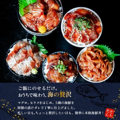 海鮮漬け丼5種セット 100g入り×10パック