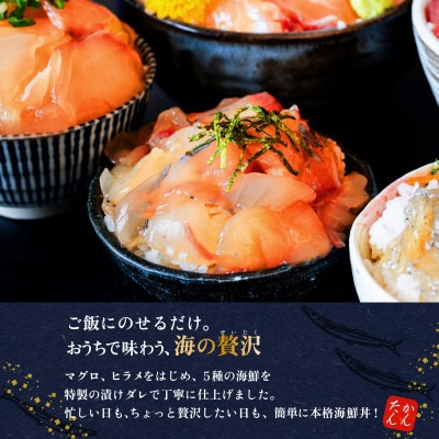 海鮮漬け丼5種セット 100g入り×5パック