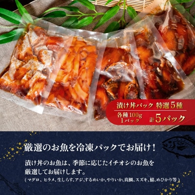 海鮮漬け丼5種セット 100g入り×5パック