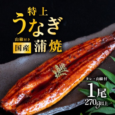 国産 うなぎ蒲焼 特上うなぎ1尾 270g以上