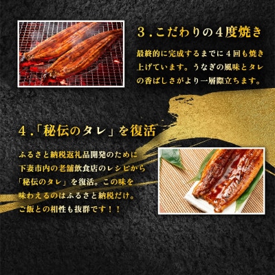 国産 うなぎ蒲焼 特上カットうなぎ 6パック 合計550g以上