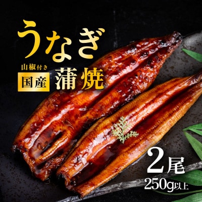 ���Y ���Ȃ����� �イ�Ȃ�2�� ���v250g�ȏ�