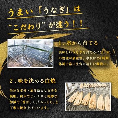 国産 うなぎ蒲焼 上うなぎ4尾 合計500g以上