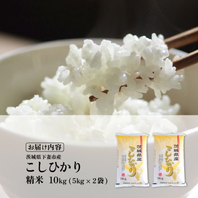 精米 コシヒカリ 10kg 茨城県下妻市産