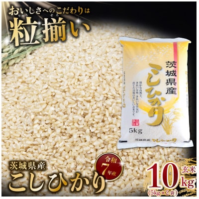 玄米 コシヒカリ 10kg 茨城県下妻市産