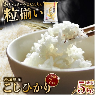 精米 コシヒカリ 5kg 茨城県下妻市産