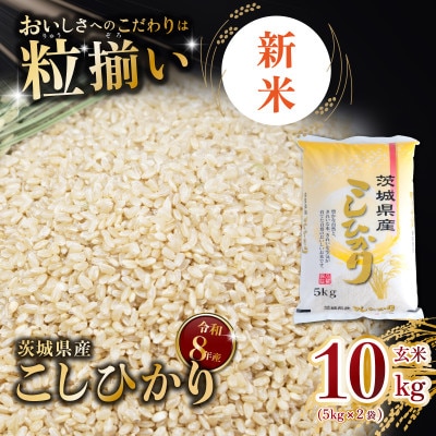 【令和8年産先行受付】玄米 コシヒカリ 10kg 茨城県下妻市産