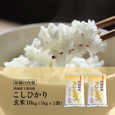 【令和8年産先行受付】玄米 コシヒカリ 10kg 茨城県下妻市産
