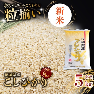 【令和8年産先行受付】玄米 コシヒカリ 5kg 茨城県下妻市産