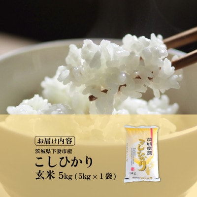 【令和8年産先行受付】玄米 コシヒカリ 5kg 茨城県下妻市産