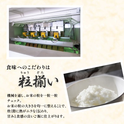 【令和8年産　新米先行受付】玄米 ミルキークイーン 5kg 茨城県下妻市産