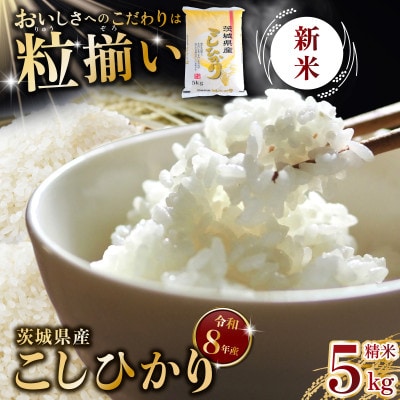 【令和8年産 新米 先行受付】精米 コシヒカリ 5kg 茨城県下妻市産