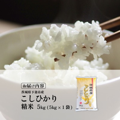 【令和8年産 新米 先行受付】精米 コシヒカリ 5kg 茨城県下妻市産