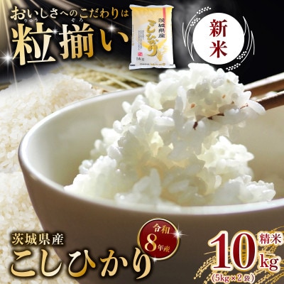 【令和8年産 新米 先行受付】精米 コシヒカリ 10kg 茨城県下妻市産