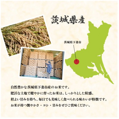 【令和8年産 新米 先行受付】精米 コシヒカリ 10kg 茨城県下妻市産