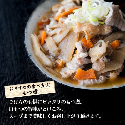 【茨城県下妻市産豚使用】白もつ(もつ鍋・もつ煮・ホルモン焼きなどに) 約2.8kg(460g×6袋)