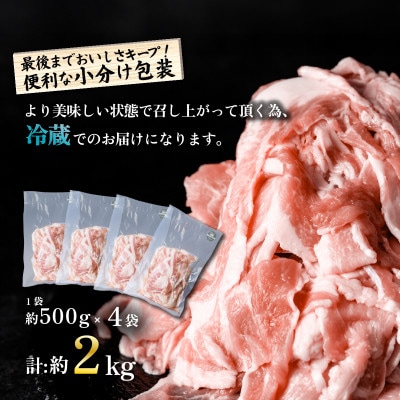 【茨城県産ブランド豚使用】国産豚肉切り落とし 約2kg(約500g×4袋) 小分け