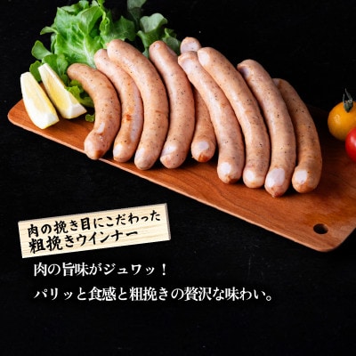 【茨城のもち豚キングポーク使用】ウインナー・チョリソーセット 計約1.6kg 小分け