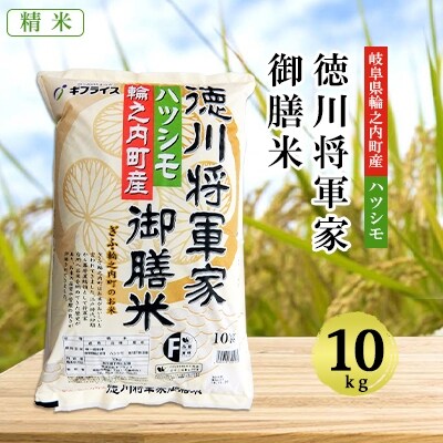 2024年1月発送開始『定期便』【岐阜県輪之内町産米ハツシモ】徳川将軍家御膳米10kg×全3回
