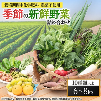 【栽培期間中化学肥料・農薬不使用なので安心・安全】　季節の新鮮野菜の詰め合わせ