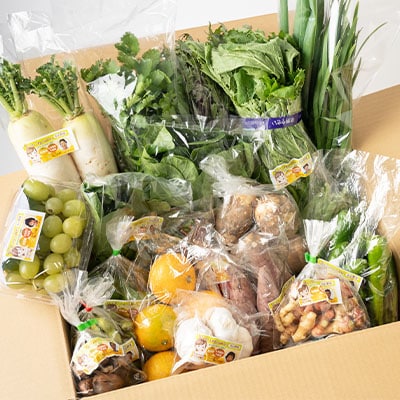 【毎月定期便】【栽培期間中化学肥料・農薬不使用】季節の新鮮野菜の詰め合わせ 全3回