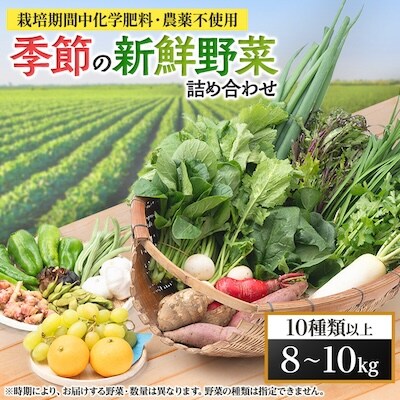 【毎月定期便】【栽培期間中化学肥料・農薬不使用】季節の新鮮野菜の詰め合わせ 全6回