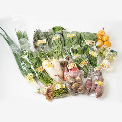 【毎月定期便】【栽培期間中化学肥料・農薬不使用】季節の新鮮野菜の詰め合わせ 全6回