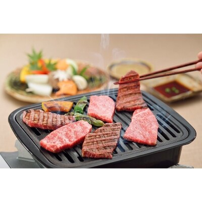 A5等級 飛騨牛バラ焼肉用300g(冷凍)