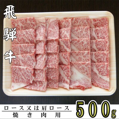 A5ランク飛騨牛焼き肉用500g(ロース又は肩ロース)