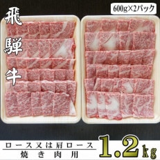 【2024年2月上旬発送】A5ランク飛騨牛焼き肉用1.2kg(ロース又は肩ロース)