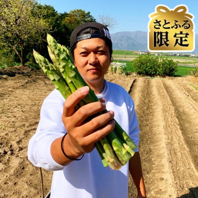 【さとふる限定】【朝採れ即日梱包】国産 グリーンアスパラガス 500g 農家直送 冷蔵発送 岐阜県産