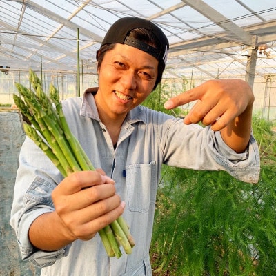 【さとふる限定】【朝採れ即日梱包】国産 グリーンアスパラガス 500g 農家直送 冷蔵発送 岐阜県産