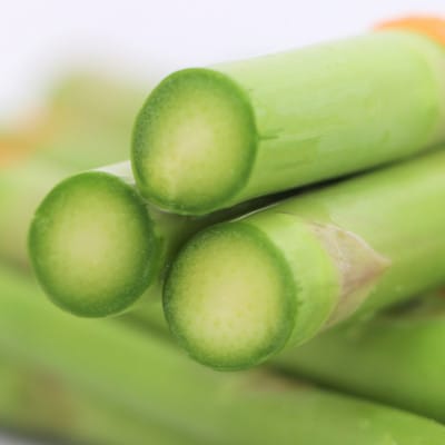 【さとふる限定】【朝採れ即日梱包】国産 グリーンアスパラガス 500g 農家直送 冷蔵発送 岐阜県産