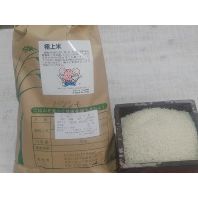 輪之内町産　厳選米ハツシモ　白米5kg