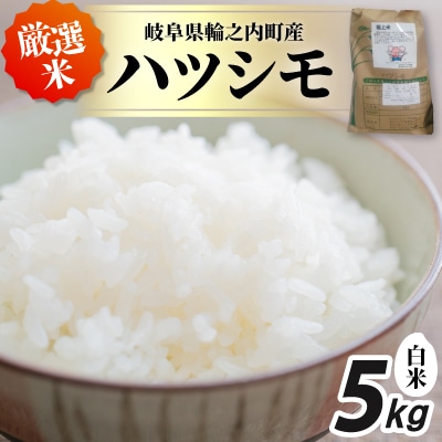 輪之内町産　厳選米ハツシモ　白米5kg