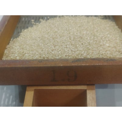 夢ふうせん　白米5kg