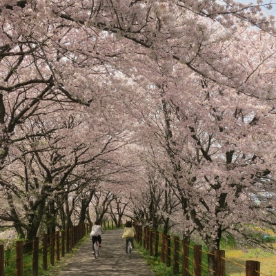 【返礼品なし】岐阜県輪之内町ふるさと応援寄附(一口:1,000円)