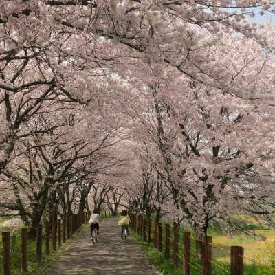 【返礼品なし】岐阜県輪之内町ふるさと応援寄附(一口:3,000円)